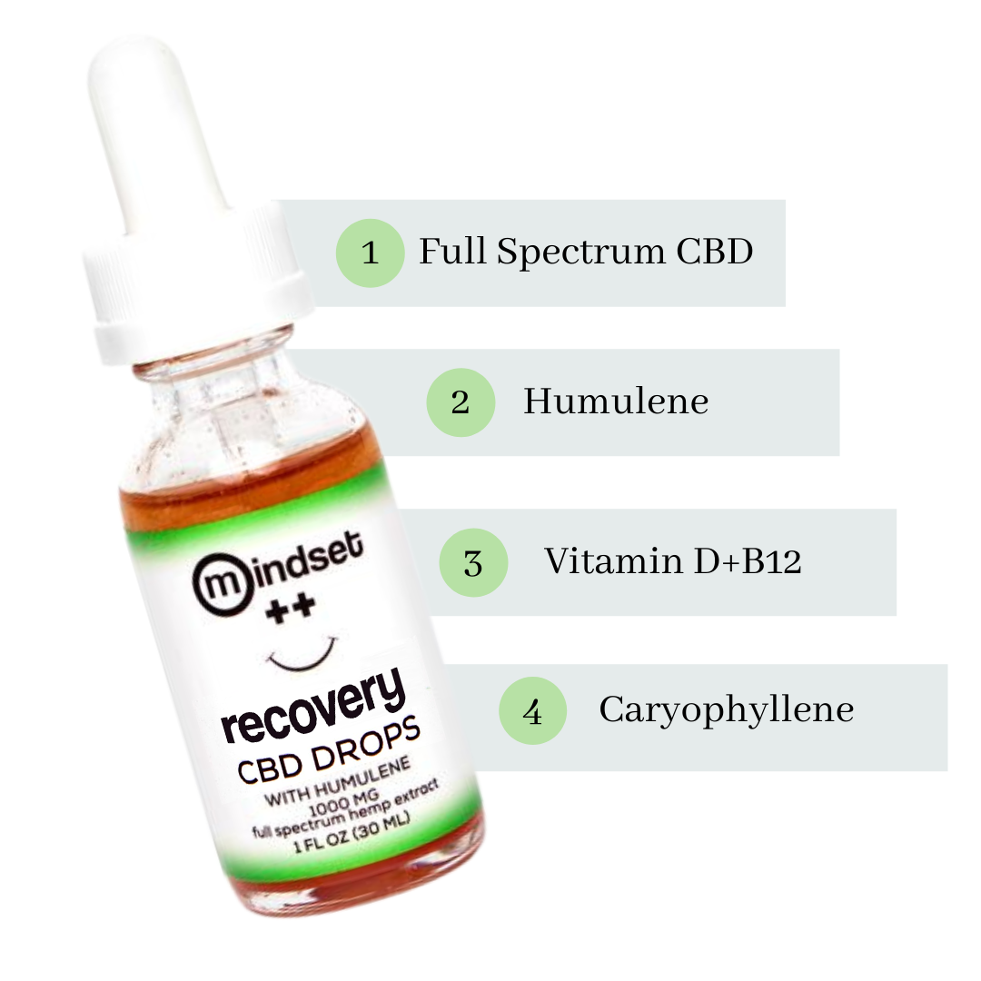 MINDSET CBD RECOVERY DROPS