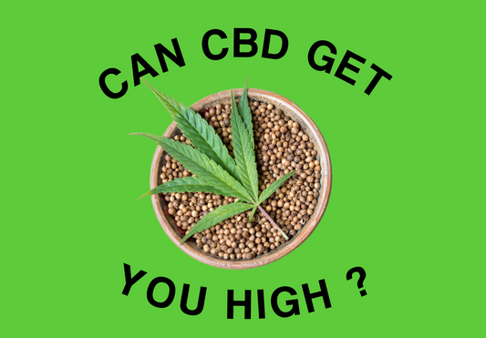 Will CBD Get You High?