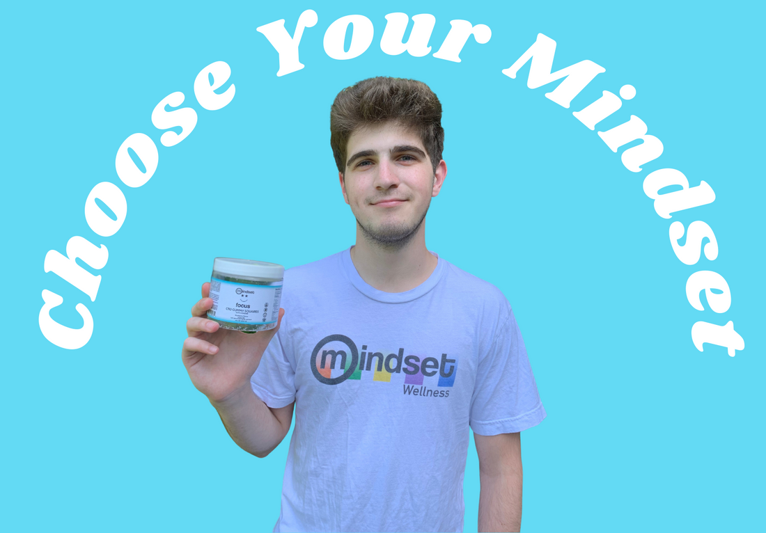 A How to Guide For Mindset Gummies, College Edition