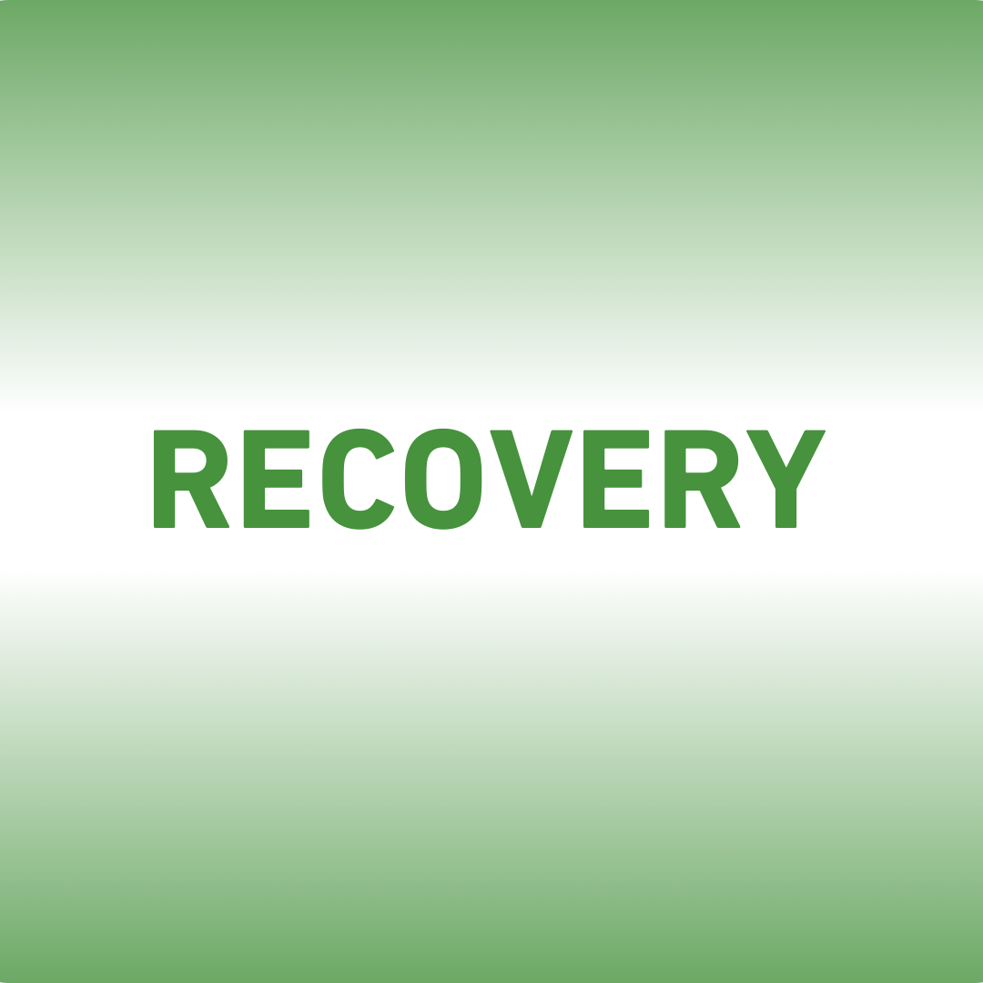 Mindset Wellness RECOVER Mindset