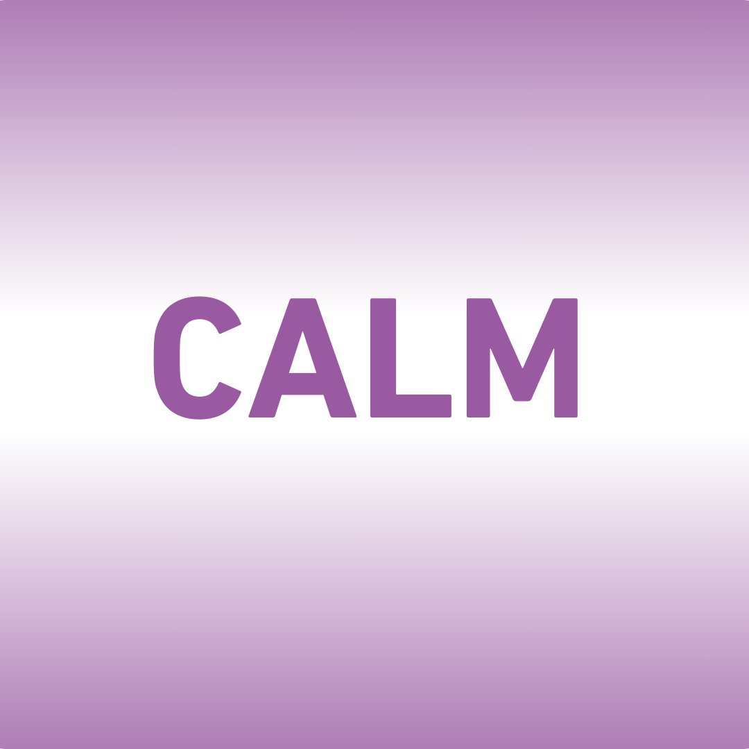 Mindset Wellness CALM Mindset