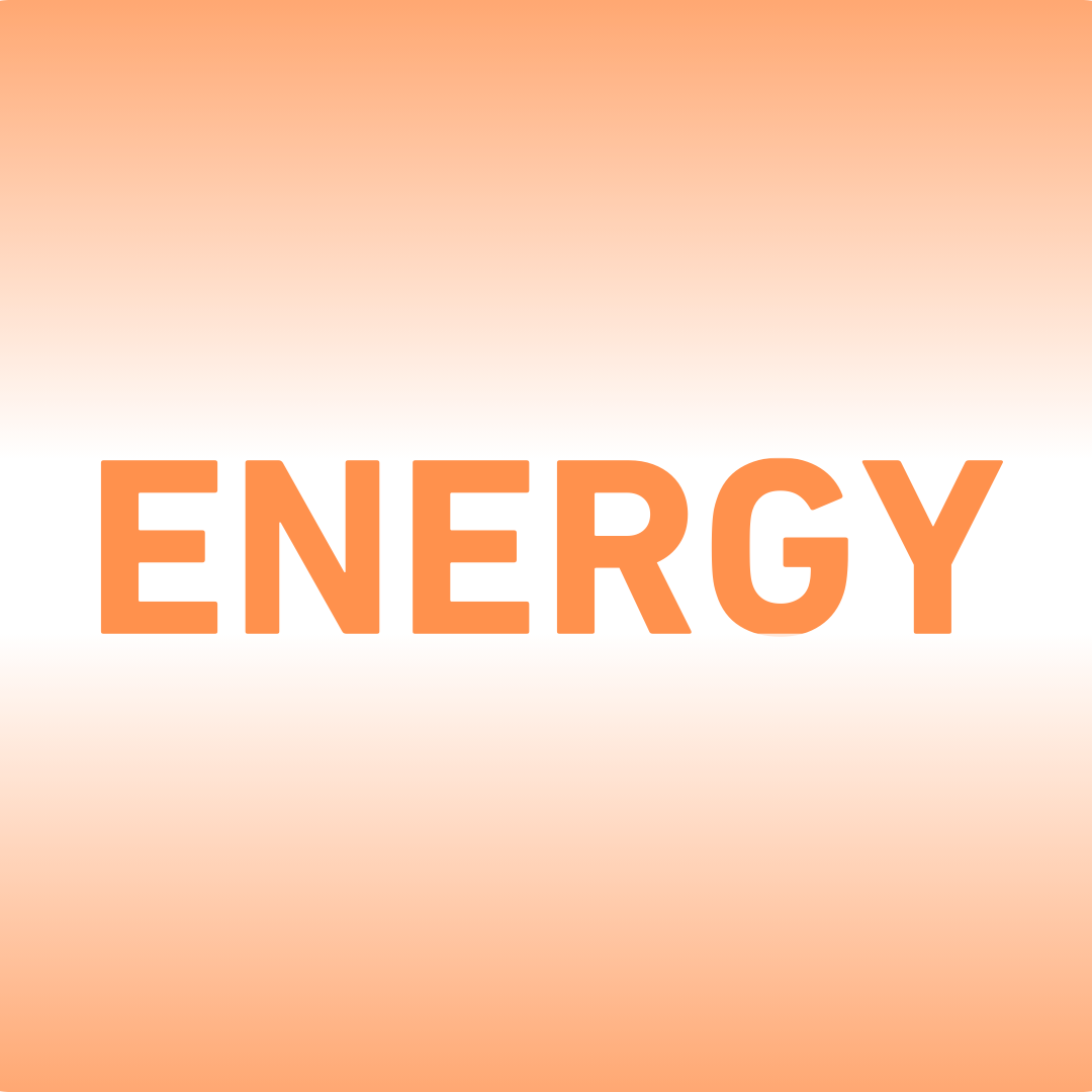 Mindset Wellness ENERGY Mindset