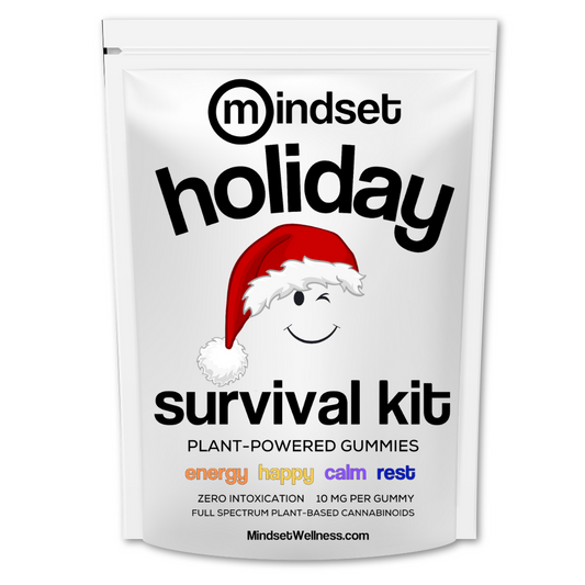 Mindset Holiday Survival Kit