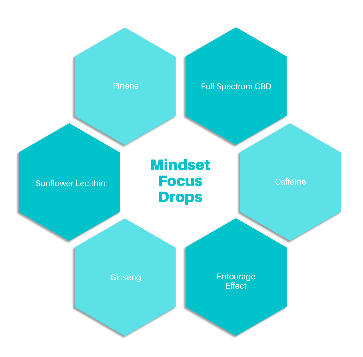 Mindset Focus CBD Drops